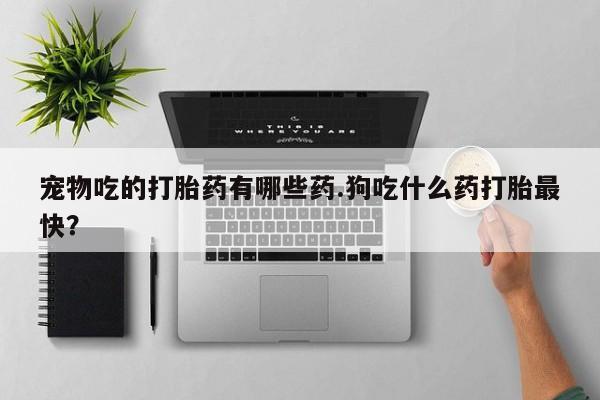 流产药微信买在线下单宠物吃的打胎药有哪些药.狗吃什么药打胎最快？
