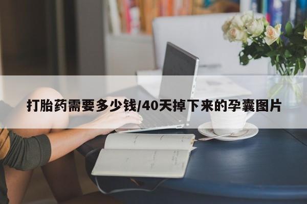 流产药微信买在线下单打胎药需要多少钱/40天掉下来的孕囊图片